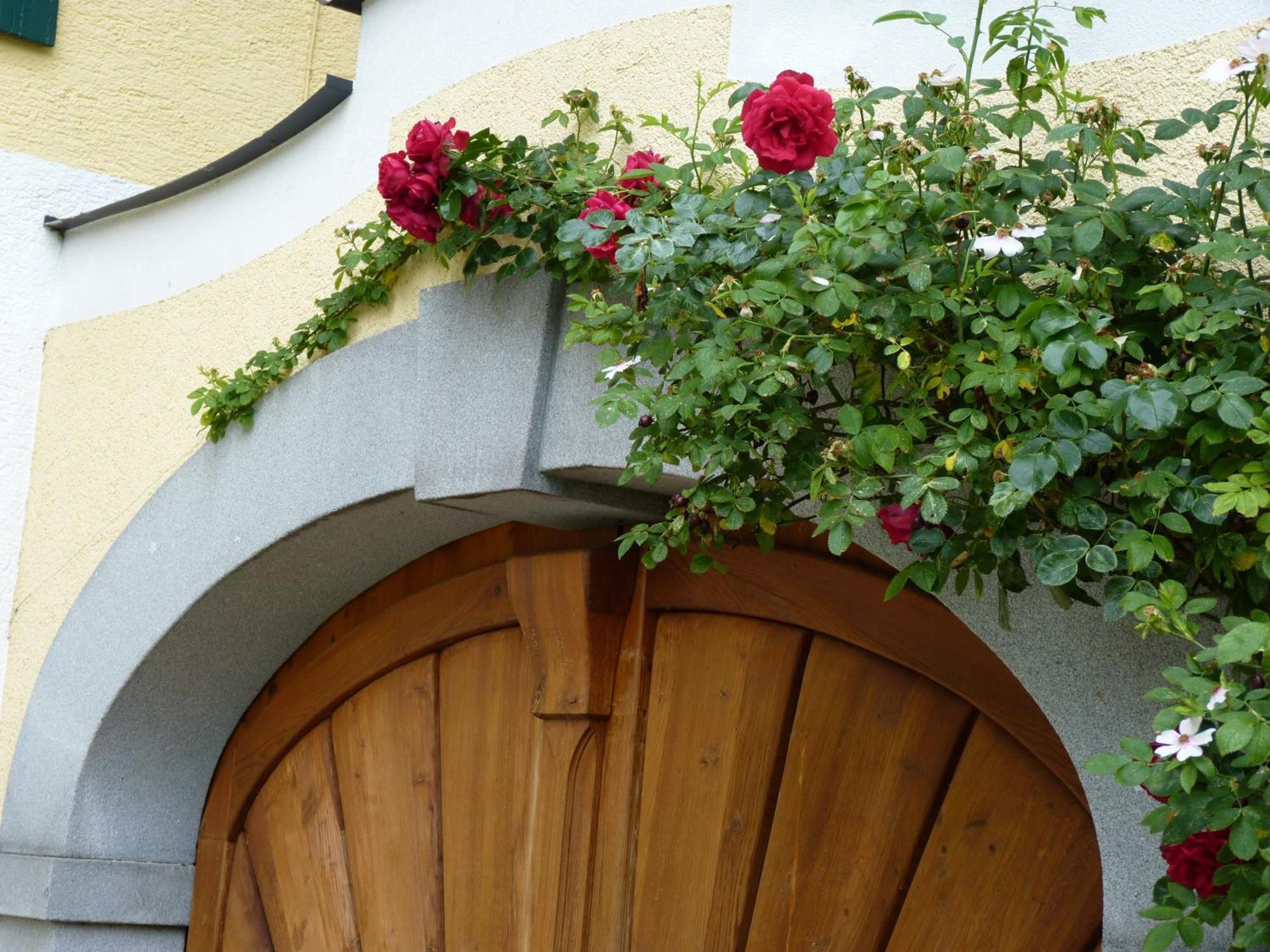 Appartement Landgut Wagnerfeld à Altmünster Extérieur photo