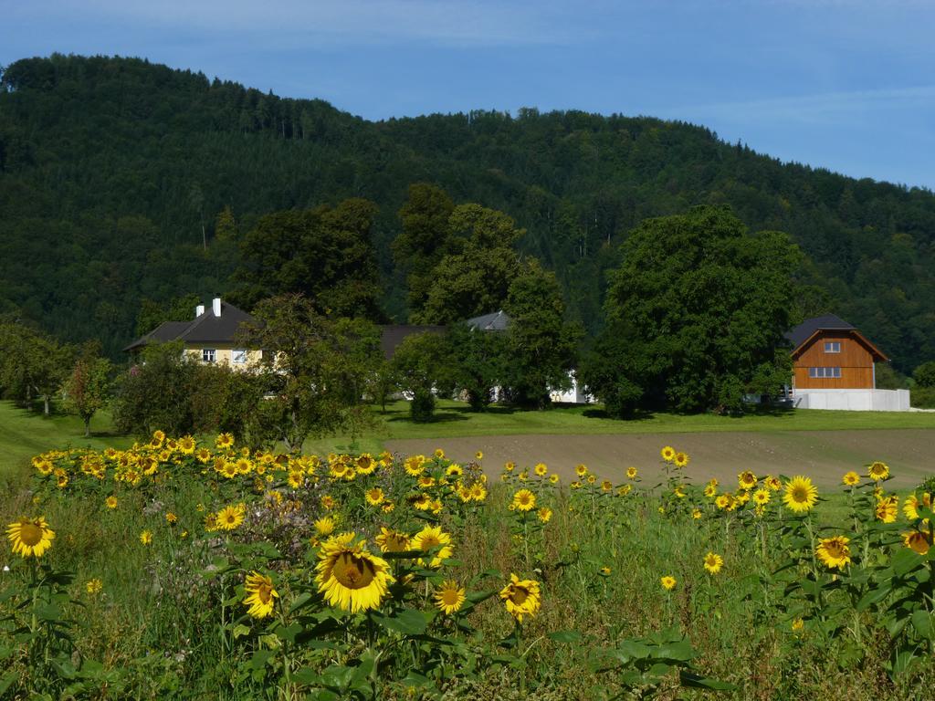 Appartement Landgut Wagnerfeld à Altmünster Extérieur photo