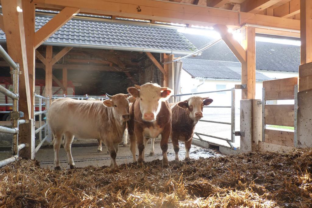 Appartement Landgut Wagnerfeld à Altmünster Extérieur photo